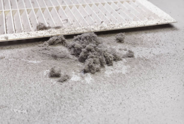 Best Local Air Duct Cleaning Services  in Singac, NJ